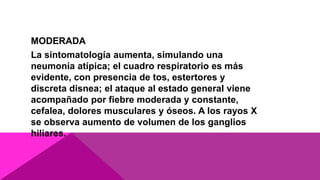 MODERADA
La sintomatología aumenta, simulando una
neumonía atípica; el cuadro respiratorio es más
evidente, con presencia de tos, estertores y
discreta disnea; el ataque al estado general viene
acompañado por fiebre moderada y constante,
cefalea, dolores musculares y óseos. A los rayos X
se observa aumento de volumen de los ganglios
hiliares.
 