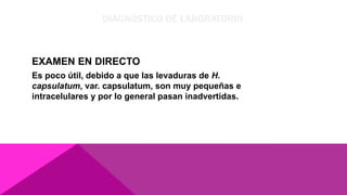 DIAGNÓSTICO DE LABORATORIO
EXAMEN EN DIRECTO
Es poco útil, debido a que las levaduras de H.
capsulatum, var. capsulatum, son muy pequeñas e
intracelulares y por lo general pasan inadvertidas.
 