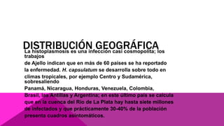 DISTRIBUCIÓN GEOGRÁFICALa histoplasmosis es una infección casi cosmopolita; los
trabajos
de Ajello indican que en más de 60 países se ha reportado
la enfermedad. H. capsulatum se desarrolla sobre todo en
climas tropicales, por ejemplo Centro y Sudamérica,
sobresaliendo
Panamá, Nicaragua, Honduras, Venezuela, Colombia,
Brasil, las Antillas y Argentina; en este último país se calcula
que en la cuenca del Río de La Plata hay hasta siete millones
de infectados y que prácticamente 30-40% de la población
presenta cuadros asintomáticos.
 