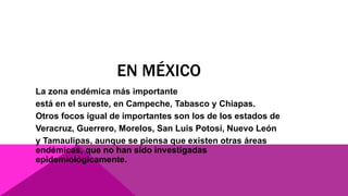 EN MÉXICO
La zona endémica más importante
está en el sureste, en Campeche, Tabasco y Chiapas.
Otros focos igual de importantes son los de los estados de
Veracruz, Guerrero, Morelos, San Luis Potosí, Nuevo León
y Tamaulipas, aunque se piensa que existen otras áreas
endémicas, que no han sido investigadas
epidemiológicamente.
 