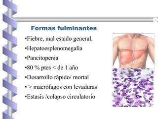 Formas fulminantes
•Fiebre, mal estado general.
•Hepatoesplenomegalia
•Pancitopenia
•80 % ptes < de 1 año
•Desarrollo rápido/ mortal
• > macrófagos con levaduras
•Estasis /colapso circulatorio
 
