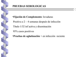 •Fijación de Complemento: levaduras
Positiva a 2 – 4 semanas después de infección
Título 1/32 inf activa y diseminación
95% casos positivos
•Pruebas de aglutinación + en infección reciente
PRUEBAS SEROLOGICAS
 