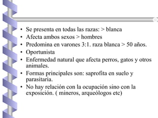 • Se presenta en todas las razas: > blanca
• Afecta ambos sexos > hombres
• Predomina en varones 3:1. raza blanca > 50 años.
• Oportunista
• Enfermedad natural que afecta perros, gatos y otros
animales.
• Formas principales son: saprofita en suelo y
parasitaria.
• No hay relación con la ocupación sino con la
exposición. ( mineros, arqueólogos etc)
 