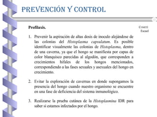 prevención y control
 