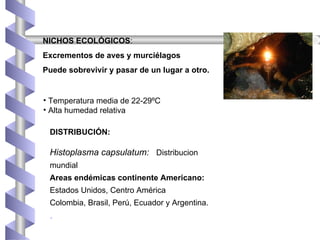 NICHOS ECOLÓGICOS:
Excrementos de aves y murciélagos
Puede sobrevivir y pasar de un lugar a otro.
• Temperatura media de 22-29ºC
• Alta humedad relativa
DISTRIBUCIÓN:
Histoplasma capsulatum: Distribucion
mundial
Areas endémicas continente Americano:
Estados Unidos, Centro América
Colombia, Brasil, Perú, Ecuador y Argentina.
•
 