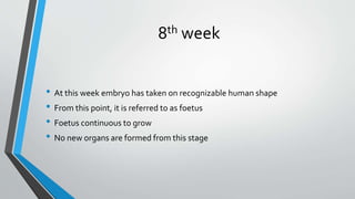 8th week
• At this week embryo has taken on recognizable human shape
• From this point, it is referred to as foetus
• Foetus continuous to grow
• No new organs are formed from this stage