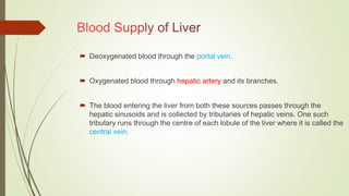  Deoxygenated blood through the portal vein.
 Oxygenated blood through hepatic artery and its branches.
 The blood entering the liver from both these sources passes through the
hepatic sinusoids and is collected by tributaries of hepatic veins. One such
tributary runs through the centre of each lobule of the liver where it is called the
central vein.
 