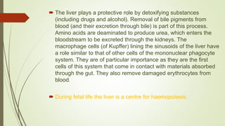  The liver plays a protective role by detoxifying substances
(including drugs and alcohol). Removal of bile pigments from
blood (and their excretion through bile) is part of this process.
Amino acids are deaminated to produce urea, which enters the
bloodstream to be excreted through the kidneys. The
macrophage cells (of Kupffer) lining the sinusoids of the liver have
a role similar to that of other cells of the mononuclear phagocyte
system. They are of particular importance as they are the first
cells of this system that come in contact with materials absorbed
through the gut. They also remove damaged erythrocytes from
blood.
 During fetal life the liver is a centre for haemopoiesis.
 