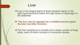 Liver
Liver is the largest gland of body situated mainly in the
right hypochondrium,below the right dome of diaphragm in
the abdomen.
 The liver may be regarded as a modified exocrine gland
that also has other functions.
The liver substance is divisible into a large number of large
lobes, each of which consists of numerous lobules.
 