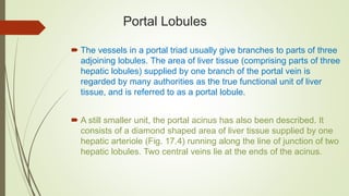 Portal Lobules
 The vessels in a portal triad usually give branches to parts of three
adjoining lobules. The area of liver tissue (comprising parts of three
hepatic lobules) supplied by one branch of the portal vein is
regarded by many authorities as the true functional unit of liver
tissue, and is referred to as a portal lobule.
 A still smaller unit, the portal acinus has also been described. It
consists of a diamond shaped area of liver tissue supplied by one
hepatic arteriole (Fig. 17.4) running along the line of junction of two
hepatic lobules. Two central veins lie at the ends of the acinus.
 