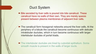 Duct System
 Bile secreted by liver cells is poured into bile canaliculi. These
canaliculi have no walls of their own. They are merely spaces
present between plasma membranes of adjacent liver cells.
 The canaliculi form hexagonal networks around the liver cells. At the
periphery of a lobule the canaliculi become continuous with delicate
intralobular ductules, which in turn become continuous with larger
interlobular ductules of portal triads.
 The interlobular ductules are lined by cuboidal epithelium. Some
smooth muscle is present in the walls of larger ducts.
 
