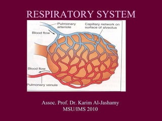 RESPIRATORY SYSTEM Assoc. Prof. Dr. Karim Al-Jashamy MSU/IMS 2010 