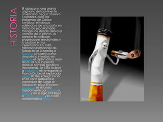 HISTORIAEl tabaco es una planta originaria del continente americano. Según observó Cristóbal Colón, los indígenas del Caribe fumaban el tabaco valiéndose de una caña en forma de pipa llamada tobago, de donde deriva el nombre de la planta. Al parecer le atribuían propiedades medicinales y lo usaban en sus ceremonias. En 1510, Francisco Hernández de Toledo llevó la semilla a España, cincuenta años después lo introdujo en Francia el diplomático Jean Nicot, al que la planta debe el nombre genérico (Nicotiana). En 1585 lo llevó a Inglaterra el navegante sir Francis Drake; el explorador inglés Walter Raleigh inició en la corte isabelina la costumbre de fumar el tabaco en pipa. El nuevo producto se difundió rápidamente por Europa y Rusia, y en el siglo XVII llegó a China, Japón y la costa occidental de África