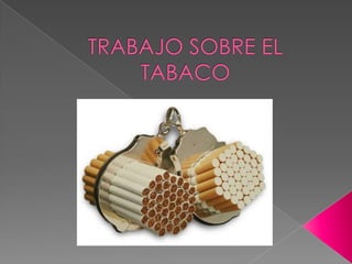 TRABAJO SOBRE EL TABACO