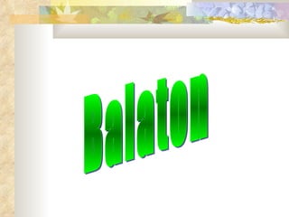 Balaton 