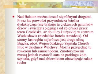 Nad Balaton można dostać się różnymi drogami. Przez las prowadzi przyrodnicza ścieżka dydaktyczna (nie brakuje tu ciekawych gatunków drzew i zwierząt) biegnąca od zbiornika przez teren Grodziska, aż do ulicy Łużyckiej w centrum Wodzisławia (niedaleko hotelu Amadeus). Od strony Jastrzębia najkrótsza jest droga ulicą Bracką, obok Wojewódzkiego Szpitala Chorób Płuc w dzielnicy Wilchwy. Można przyjechać tu rowerom lub samochodem. Zmotoryzowani muszą jednak zostawić auta na parkingu koło szpitala, gdyż nad zbiornikiem obowiązuje zakaz ruchu 