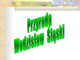 Przyroda  Wodzisław  Śląski 