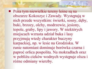 Poza tym niewielkie tereny leśne są na obszarze Kokoszyc i Zawady. Występują w nich przede wszystkim: świerki, sosny, dęby, buki, brzozy, olchy, modrzewie, jesiony, topole, graby, lipy i jawory. W niektórych miejscach wzrasta udział buka i lasy przyjmują wtedy charakter buczyny karpackiej, np. w lesie na Grodzisku. W runie natomiast dominuje borówka czarna i paproć orlica pospolita. Na mokradłach oraz w pobliżu cieków wodnych występuje olsza i różne odmiany wierzby. 
