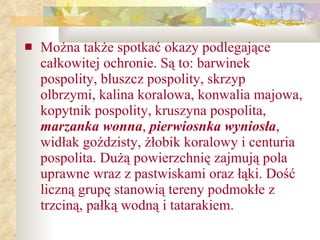 Można także spotkać okazy podlegające całkowitej ochronie. Są to: barwinek pospolity, bluszcz pospolity, skrzyp olbrzymi, kalina koralowa, konwalia majowa, kopytnik pospolity, kruszyna pospolita,  marzanka wonna ,  pierwiosnka wyniosła , widłak goździsty, żłobik koralowy i centuria pospolita. Dużą powierzchnię zajmują pola uprawne wraz z pastwiskami oraz łąki. Dość liczną grupę stanowią tereny podmokłe z trzciną, pałką wodną i tatarakiem.   