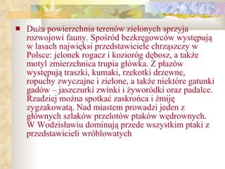 Duża powierzchnia terenów zielonych sprzyja rozwojowi fauny. Spośród bezkręgowców występują w lasach najwięksi przedstawiciele chrząszczy w Polsce: jelonek rogacz i kozioróg dębosz, a także motyl zmierzchnica trupia główka. Z płazów występują traszki, kumaki, rzekotki drzewne, ropuchy zwyczajne i zielone, a także niektóre gatunki gadów – jaszczurki zwinki i żyworódki oraz padalce. Rzadziej można spotkać zaskrońca i żmiję zygzakowatą. Nad miastem prowadzi jeden z głównych szlaków przelotów ptaków wędrownych. W Wodzisławiu dominują przede wszystkim ptaki z przedstawicieli wróblowatych 