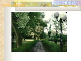 1% podatku - Twój wybór, Twoja Wikipedia.   BATUTA : akcja poprawiania wiarygodności Wikipedii w toku - przyłącz się  Z Wikipedii Skocz do:  nawigacji ,  szukaj 