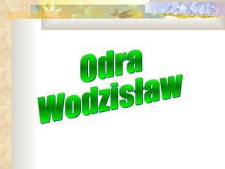 Odra  Wodzisław 