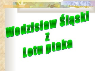 Wodzisław Śląski z Lotu ptaka 