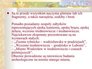 Są to przede wszystkim naczynia gliniane lub ich fragmenty, a także narzędzia, ozdoby i broń.  Ponadto posiadamy zespoły zabytków reprezentujących epokę kamienia, epokę brązu, epokę żelaza, wczesne średniowiecze i średniowiecze.  Najciekawsze eksponaty prezentowane są na wystawach stałych: – „Ziemia rybnicko – wodzisławska w pradziejach”, – „Wczesne średniowiecze – grodzisko w Lubomi”,  – „Miasto Wodzisław w średniowieczu i czasach późniejszych”. Obecnie prowadzone są ratownicze badania archeologiczne na terenie starego miasta.   