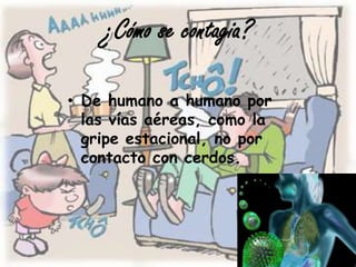¿Cómo se contagia?

• De humano a humano por
  las vías aéreas, como la
  gripe estacional, no por
  contacto con cerdos.
 