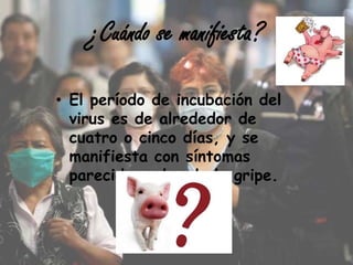 ¿Cuándo se manifiesta?

• El período de incubación del
  virus es de alrededor de
  cuatro o cinco días, y se
  manifiesta con síntomas
  parecidos a los de la gripe.
 