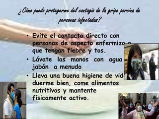 ¿Cómo puedo protegerme del contagio de la gripe porcina de
                  personas infectadas?
   • Evite el contacto directo con
     personas de aspecto enfermizo o
     que tengan fiebre y tos.
   • Lávate las manos con agua y
     jabón a menudo
   • Lleva una buena higiene de vida:
     duerme bien, come alimentos
     nutritivos y mantente
     físicamente activo.
 