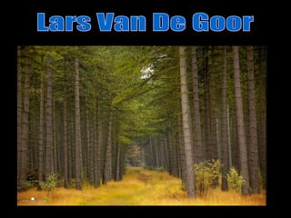 Lars Van De Goor 