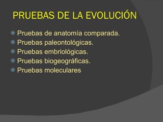 PRUEBAS DE LA EVOLUCIÓN Pruebas de anatomía comparada. Pruebas paleontológicas. Pruebas embriológicas. Pruebas biogeográficas. Pruebas moleculares 
