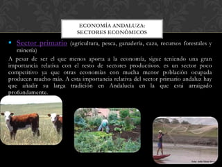 ECONOMÍA ANDALUZA:
                          SECTORES ECONÓMICOS
 Sector primario (agricultura, pesca, ganadería, caza, recursos forestales y
   minería)
A pesar de ser el que menos aporta a la economía, sigue teniendo una gran
importancia relativa con el resto de sectores productivos. es un sector poco
competitivo ya que otras economías con mucha menor población ocupada
producen mucho más. A esta importancia relativa del sector primario andaluz hay
que añadir su larga tradición en Andalucía en la que está arraigado
profundamente.
 