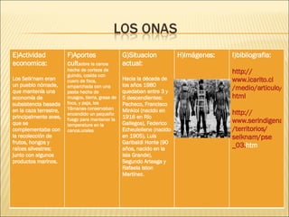 E)Actividad economica: Los Selk'nam eran un pueblo nómade, que mantenía una economía de subsistencia basada en la caza terrestre, principalmente aves, que se complementaba con la recolección de frutos, hongos y raíces silvestres; junto con algunos productos marinos.  F)Aportes cult sobre la canoa hecha de corteza de guindo, cosida con cuero de foca, emparchada con una pasta hecha de musgos, tierra, grasa de foca, y paja, los Yámanas conservaban encendido un pequeño fuego para mantener la temperatura en la canoa. urales G)Situacion actual: Hacia la década de los años 1980 quedaban entre 3 y 5 descendientes: Pacheco, Francisco Minkiol (nacido en 1916 en Río Gallegos), Federico Echeuleilene (nacido en 1905), Luis Garibaldi Honte (90 años, nacido en la Isla Grande), Segundo Arteaga y Rafaela Iston Martínez. H)Imágenes: I)bibliografia:  http :// www.icarito.cl /medio/articulo/0,0,38035857_178048844_147547380_1,00. html http :// www.serindigena.org /territorios/ selknam / pse _03. htm       