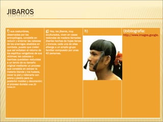 f)  sus costumbres, observadas por los antropólogos, consistía en reducir y enterrar las cabezas de los enemigos abatidos en combate, puesto que creían que así evitaban el retorno de los espíritus vengativos de sus víctimas: las cabezas o txantxas quedaban reducidas a un tercio de su tamaño original mediante un proceso que consistía en extraer la materia blanda y los huesos, cocer la piel y rellenarla con arena y piedra para su posterior moldeo y decoración; el proceso duraba  unas 20 horas.Un g)  Hoy, los jíbaros, muy aculturados, viven en casas redondas de madera llamadas jibarías hechas de hojas lianas y troncos; cada una de ellas alberga a un amplio grupo familiar compuesto por unas 40 personas.  h) i)bibliografia: http://www.images.google.cl/images?um=1&hl=es&sa=X&oi=spell&resnum=0&ct=result&cd=1&q=los+jibaros&spell=1 