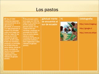 Los pastos e)  Sus 27.940 habitantes dependen económicamente de la agricultura, la ganadería, el comercio, y en baja proporción la minería. Su principal cultivo es la papa con 500 Ha, haba 40 Ha; cuenta con 8.000 cabezas de ganado bovino, de las cuales 6.500 son hembras y producen un promedio de 54.600 litros de leche diarios, siendo el tercer municipio de Nariño en producción lechera y tiene registradas 4.820 cabezas de ganado porcino. f)  Su principal cultivo es la papa con 500 Ha, haba 40 Ha; cuenta con 8.000 cabezas de ganado bovino, de las cuales 6.500 son hembras y producen un promedio de 54.600 litros de leche diarios, siendo el tercer municipio de Nariño en producción lechera y tiene registradas 4.820 cabezas de ganado porcino.   g)Actual mente se encuentra al sur de ecuador h) I)bibliografia: http://www.images.google.cl/images?um=1&hl=es&q=pastos+indigenas http://google.cl http://www.es.wikipedia.org/wiki/J%C3%ADbaro 