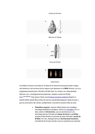 Cráneo de Dmanisi.




                                                   Bifaz de Um Qatafa.




                                                    Punta de El-Wad.




                                                      Hojita Dufour.

Los fósiles humanos conocidos en la base de la secuencia temporal poseen rasgos
casi idénticos a los primeros Homo sapiens que aparecen en la MSA africana, con una
antigüedad probada entre 100.000 y 90.000 años. En cambio, los «Neandertales
clásicos» son, cronológicamente posteriores, datados a partir de 60.000
        [cita requerida]
años.                      Todo parece indicar que losseres humanos modernos llegaron a
Oriente Medio desde África antes de que los neandertales llegasen desde Europa, y
que se encontraron allí, donde, posiblemente, convivieron durante miles de años.

                                Paleolítico superior: parecen diferenciarse dos complejos
                                tecnológico/estilísticos paralelos, ambos con microlitos. Por un
                                lado, estaría el Ahmariense, que se caracteriza por una
                                tecnología laminar formada por piezas de dorso y cuchillos,
                                aunque el fósil director es la punta de base retocada o punta de
                                El-Wad. Por otro, distinguiríamos el Auriñaciense levantino,
                                procedente de Europa oriental y que se caracteriza por grandes
 