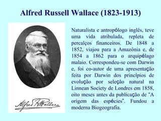 Alfred Russell Wallace (1823-1913)
Naturalista e antropólogo inglês, teve
uma vida atribulada, repleta de
percalços financeiros. De 1848 a
1852, viajou para a Amazônia e, de
1854 a 1862 para o arquipélago
malaio. Correspondeu-se com Darwin
e, foi co-autor de uma apresentação
feita por Darwin dos princípios de
evolução por seleção natural na
Linnean Society de Londres em 1858,
oito meses antes da publicação de “A
origem das espécies”. Fundou a
moderna Biogeografia.
 