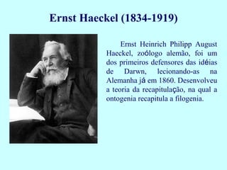 Ernst Haeckel (1834-1919)
Ernst Heinrich Philipp August
Haeckel, zoólogo alemão, foi um
dos primeiros defensores das idéias
de Darwn, lecionando-as na
Alemanha já em 1860. Desenvolveu
a teoria da recapitulação, na qual a
ontogenia recapitula a filogenia.
 