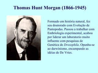 Formado em história natural, fez
seu doutorado com Evolução de
Pantopodas. Passou a trabalhar com
Embriologia experimental, acabou
por liderar um laboratorio muito
influente com pesquisas de
Genética de Drosophila. Opunha-se
ao darwinismo, encampando as
idéias de De Vries.
Thomas Hunt Morgan (1866-1945)
 