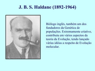Biólogo inglês, também um dos
fundadores da Genética de
populações. Extremamente criativo,
contribuiu em vários aspectos da
teoria da Evolução, tendo lançado
várias idéias a respeito de Evolução
molecular.
J. B. S. Haldane (1892-1964)
 