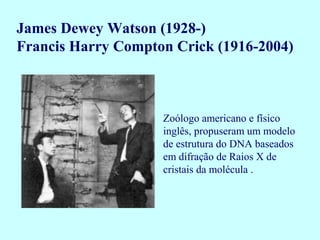 Zoólogo americano e físico
inglês, propuseram um modelo
de estrutura do DNA baseados
em difração de Raios X de
cristais da molécula .
James Dewey Watson (1928-)
Francis Harry Compton Crick (1916-2004)
 