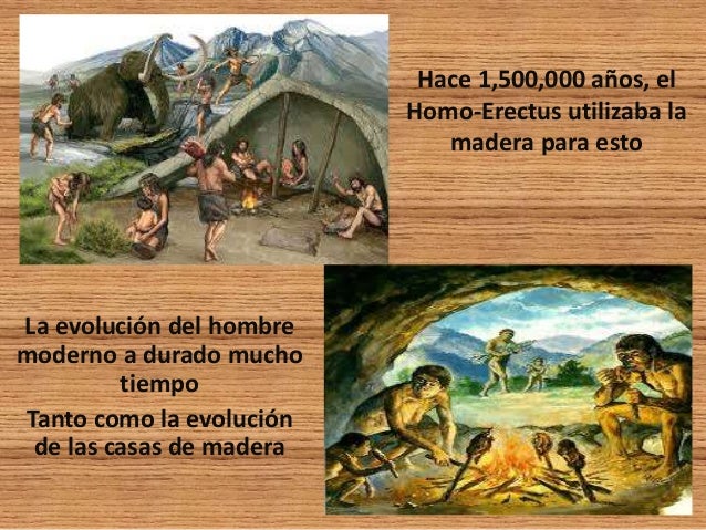 Historia de la madera