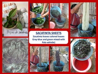 SACATINTA SHEETS
Zacatinta leaves colored leaves
Gray-blue and green mixed with
Palo whistle)
 