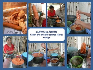 CARROT and ACHIOTE
Carrot and annatto colored leaves
orange
 