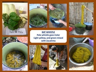 BAT WHISTLE
Palo whistle goes Color
Light yellow, and green mixed
with Zacatinta
 