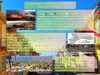 Contaminación y cambios en el paisaje
natural es la V región.
La mala delimitación que existe entre la naturaleza y las zonas
pobladas aumenta en potencia el área de riesgo ante la
realidad de un incendio. El siniestro que ocurrió el 12 de abril
del 2014 generó una innegable toxicidad y contaminación en el
aire y ambiente que perduró por varios meses luego del
incendio . Además, los daños a la infraestructura de varias casas
se vio afectada, y con ellas a las familias que habitaban ahí, lo
cual necesitó una reconstrucción.
En cuanto a los suelos, hay factores causados por el hombre
que amenazan la calidad de estos en toda la región, como es el
avance de la desertificación, una creciente extracción de
áridos, y la expansión de las ciudades, lo que ha derivado en
que suelos de buena calidad y alta productividad, sean
ocupados por actividades industriales, comerciales o
habitacionales.
Desertificación en Chile.
La inexistencia de un programa regional que
aborde o implemente un adecuado proceso
de reducción, recolección, tratamiento y
disposición de los residuos, se evidencia en
la falta de sitios para dejarlos y la presencia
de vertederos clandestinos.
Vertedero clandestino.
Incendio Valparaíso 2014.
 