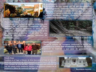 • Zona típica.
Cerros Alegre:
Nombrados de esta manera por lo que transmiten sus
diversos colores, conforman históricamente un sector
unitario, urbanizado y construido en gran parte por
inmigrantes ingleses y alemanes. El sector combina plazas,
paseos miradores, pasajes, escaleras, las estaciones
cumbre de los ascensores
• Santuario de la naturaleza.
Bosque Las Petras:
Corresponde a un bosque de pantano comprende una
superficie de 42 hectáreas. Comprende 60 tipos
distintos de aves y mamíferos. A pesar de los
resguardos, el ecosistema del Bosque Las Petras se ha
ido deteriorando y secando con los años. Por esta
razón se han realizados algunos operativos de
protección.
• Tesoro humano vivo.
Familia Mandariaga:
Desde la comuna de Cartagena conforman la familia de
cantores a lo poeta, han encabezado la función de hacer
perdurar la tradición y que pase de generación en
generación.
• Monumento histórico.
Palacio Rioja:
Funciona en el lugar el Museo de Arte Decorativo y hasta el inicio de
obras de restauración de 2014 funcionó el Conservatorio de Música
Izidor Handler de Viña del Mar. exhibe y resguarda una colección de
casi 331 piezas entre mobiliario, textiles y decoraciones propias de la
aristocracia chilena de comienzos del Siglo XX.
 