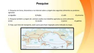 a) algodão: b) feijão: c) café: d) pimenta:
2. Pesquise também a origem de animais usados nos trabalhos agrícolas ou como alimento:
a) boi: b) cavalo: c) porco: d) galinha:
3. Hoje, que meio de transporte, você usaria para fazer migração como indicada no mapa.
Pesquise
1. Pesquise em livros, dicionários e na internet sobre a origem dos seguintes alimentos ou produtos
agrícolas:
 